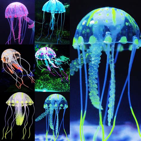 Glow Jellyfish