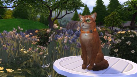 Sims Cats Appreciation Page 2 — The Sims Forums