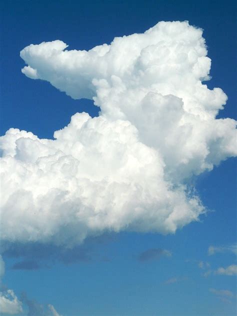 Free Photo Cloud Sky Clouds Form Blue Free Image On Pixabay