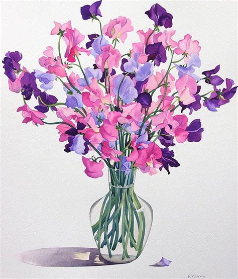 Sweetpeas Print By Christopher Ryland Floral Painting Watercolour