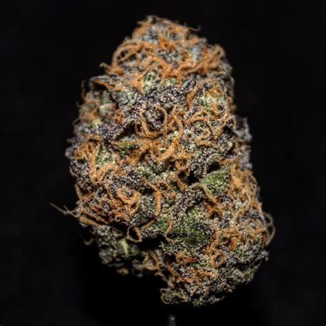 Gelato 41 Gelato 41 Weed Strain Gelato Weed Strain For Sale