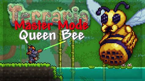 Ultimate Master Mode Queen Bee Guide Terraria 14 Youtube