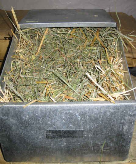 Rabbit Nest Box Prepare A Rabbit Nesting Box Step By Step