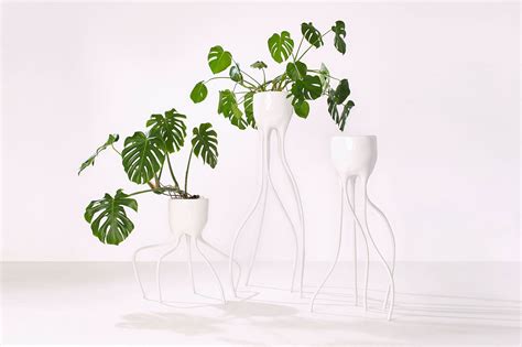 plant fever design aus der pflanzenperspektive zürcher museen