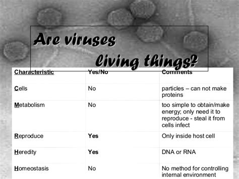 The last question that needs to be answered is are viruses alive or not? Viruses2014