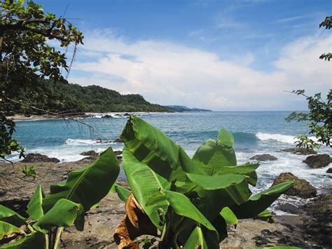 Come explore with two map makers, travel advisors, photographers and story costa rica guide. What to Do in Montezuma, Costa Rica during the Off-Season