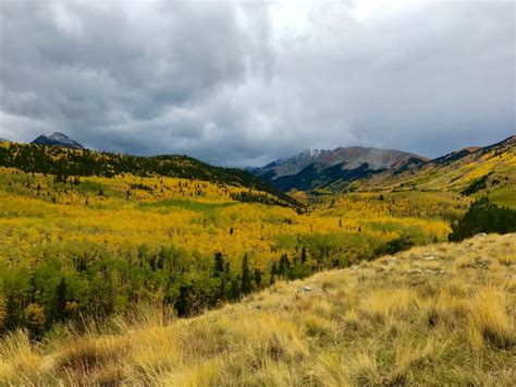 Fall Colors Drive In Canyon Journeys