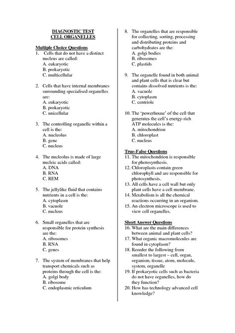 6th Grade Multiple Represntations Of Functions Worksheet Pdf