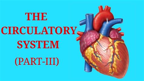 The Circulatory System Icse Class 10th Biology Part 3 Youtube