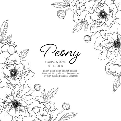 Hand Drawn Peony Floral Greeting Card Background 3132322 Vector Art At