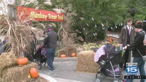 Fw Childrens Zoo Closes For The Season Following Wild Zoo Halloween