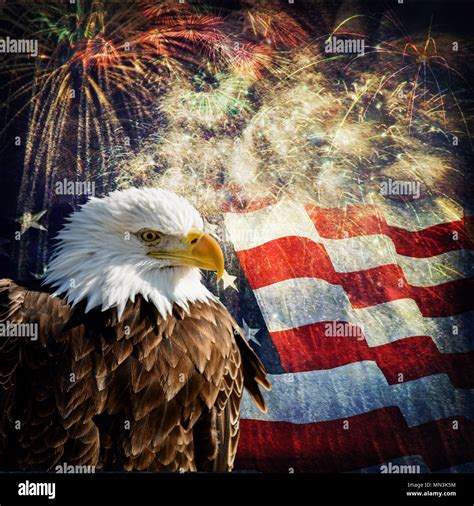 List 102 Pictures American Flag With Fireworks Photos Completed
