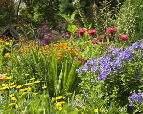 Der staudengarten ist eine kleine parkanlage am neustädter elbufer in der inneren neustadt von dresden. Stauden - Pflanzen, Pflege und Tipps - Mein schöner Garten