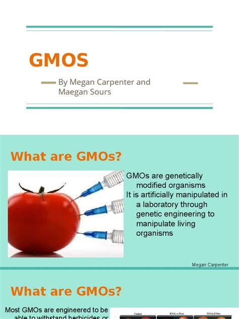 Gmo Pros Cons Poster Genetically Modified Organism Genetic Engineering