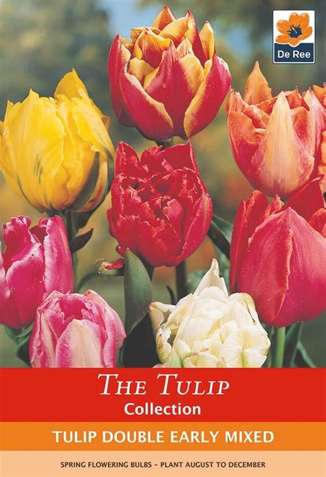 Tulip Double Early Mix