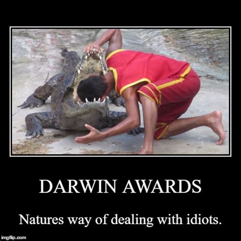 The Darwin Awards Imgflip