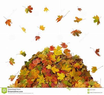 Leaf Pile Leaves Fall Clipart Piles Clip