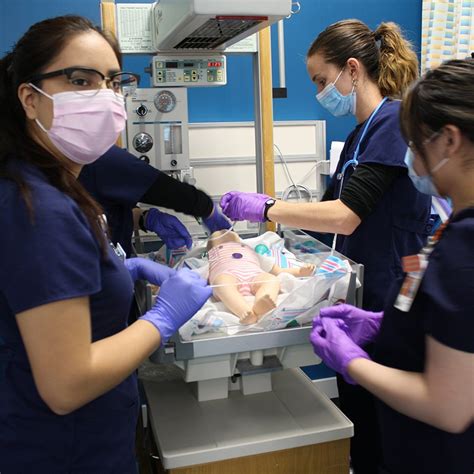 Resuscitation Course Prepares Bsn Students For Nicu Roles Son News