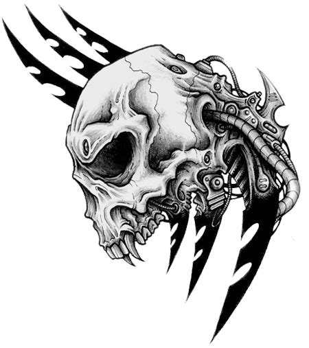 Collection Of Tribal Skull Tattoos Png Pluspng