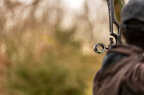 Best Bow Sights For Hunting In Reviews The Survival Doctor