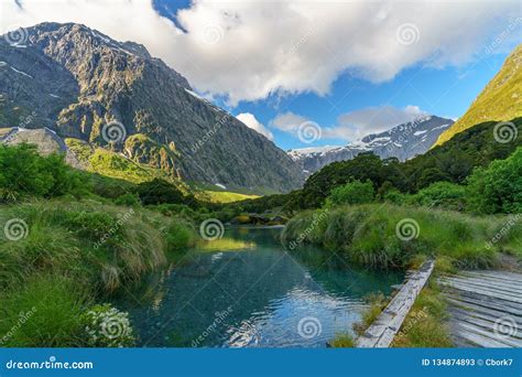 Wooden Bridge Over River In The Mountains Fiordland New Zealand 3