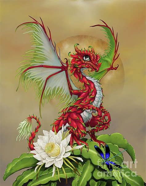 'the fruit does have the shape similar to the lotus flower. Pin on Nat-Nat's Saved Faves