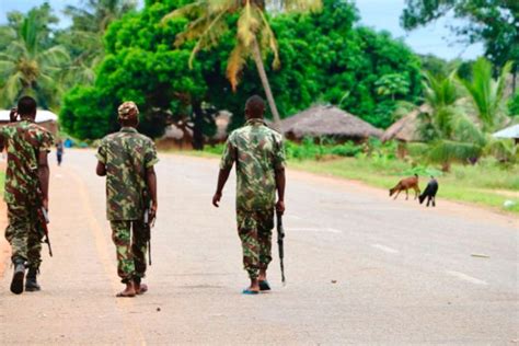 Mozambique Security Forces Kill 16 Insurgents The Citizen