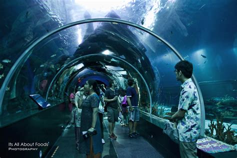 Singapore 4d3n Sea Aquarium Sentosa Island Singapore