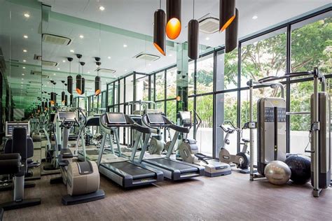 Super Luxury Singapore Apartment With In Room Car Parking Gym Interior