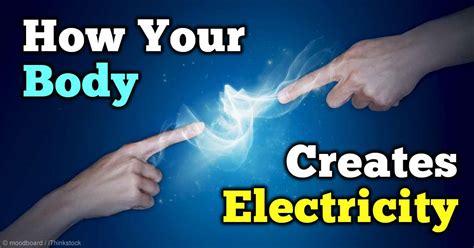 Grounding Or Earthing How Your Body Generates Electricity