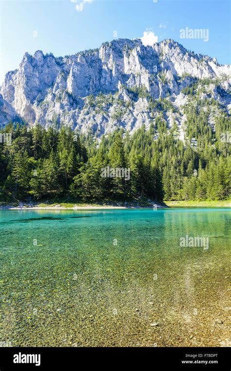 Tragoess Green Lake Gruener See Austria Styria Stock Photo Alamy