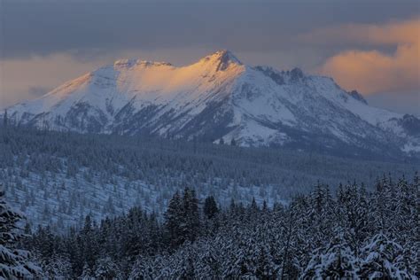 Download Nature Forest Montana Dusk Sunset Winter Snow Mountain