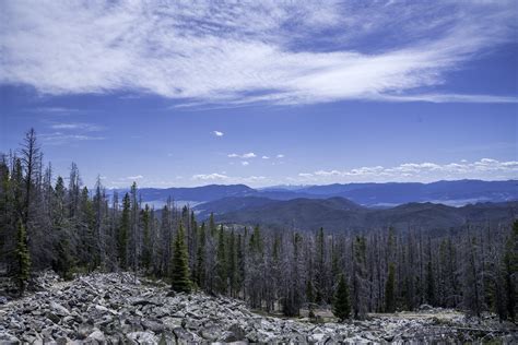 Mountaintop Landscape With Pine Trees Under The Sky In The