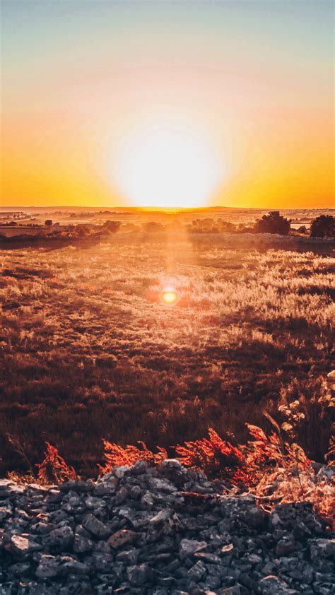 Download Wallpaper 1440x2560 Landscape Panorama Sunset Skyline Qhd