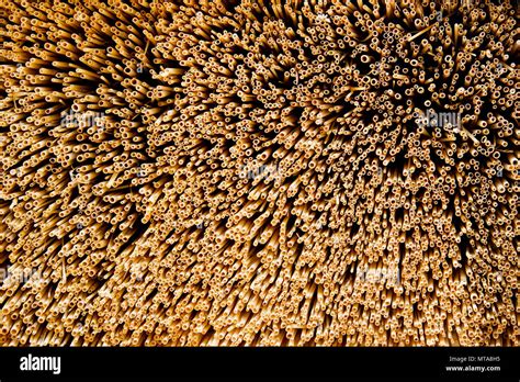 Dry Straw Bundle As Texture Or Background Stock Photo Alamy