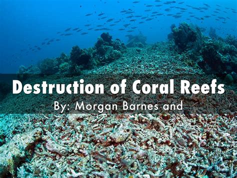 Copy Of Destruction Of Coral Reefs By Mbarnes