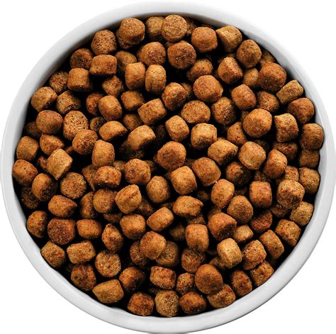 Quality pure raw dog food. The Benefits and Risks of Raw Dog Food - Fortricks