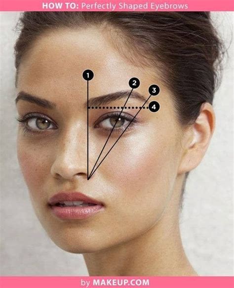 16 Eyebrow Diagrams That Will Explain Everything To You False Eyebrows