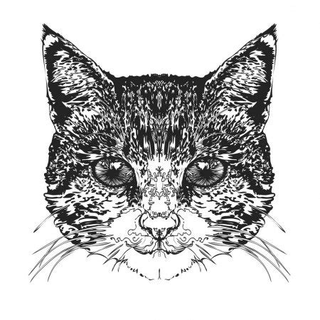 Cat Sketch Stock Vector Silvertiger