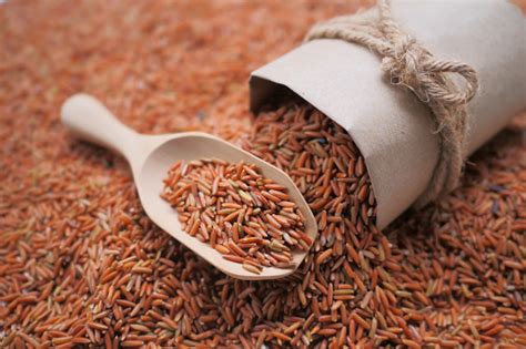 Germinated Brown Rice Gaba Rice Stock Photo Download Image Now