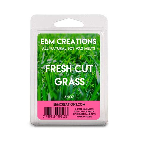 Ebm Creations Fresh Cut Grass Scented All Natural Soy Wax Etsy