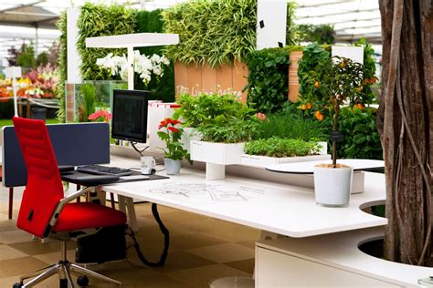 Best App To Design Your Landscape - Pro Landscape