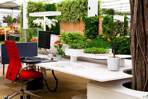 25 Awe Office Plants Interior Design Ideas 13 Is Damn Beautiful