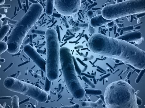 The listeria monocytogenes pathogenic bacteria. Legionnaires' Disease Expert Witnesses | ForensisGroup ...