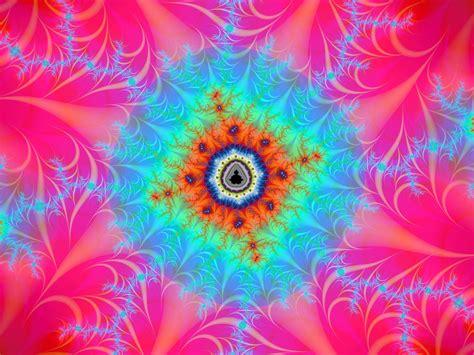 Psychedelic Flowers Wallpapers Top Free Psychedelic Flowers