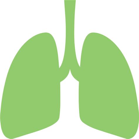 Respiratorylung Issues Lung Clipart Full Size Clipart 2025587