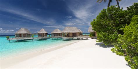 Resort Milaidhoo Island Resort Maldives In Maldive Premium Arenatours It