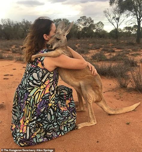 Meet Abigail The Kangaroo Who Hugs Her Rescuers Everyday At Sanctuary Confident Informer