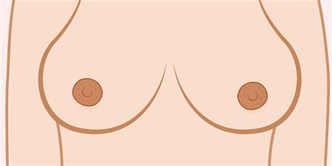 Eine Auswahl Von Frauen Mit Riesigen Geschwollenen Brustwarzen Telegraph