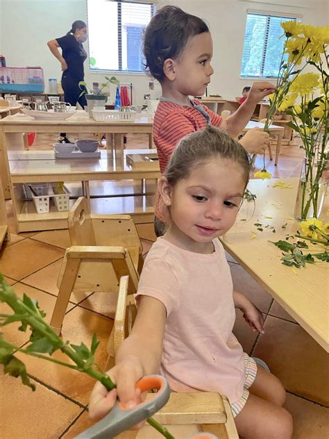 Montessori Flower Arranging For Toddlers La Prima Casa